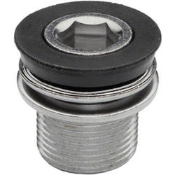 RaceFace M15 bolt for 2008+ Evolve and Ride