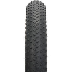 Specialized Big Roller