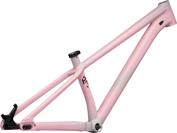 Specialized P.3 Frame