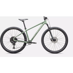 Specialized Rockhopper Comp