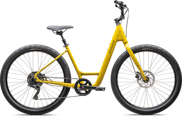 Specialized Roll 3.0 Low Entry