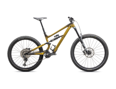 Specialized Status 2 170