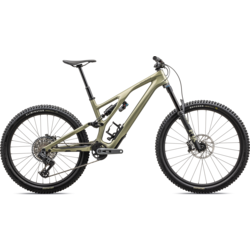 Specialized Stumpjumper EVO Expert T-Type