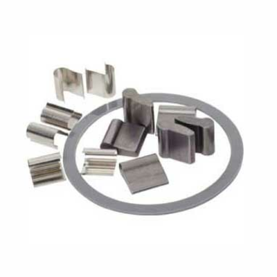 Stan's No Tubes Pawl and Magnet Kit M-Pulse